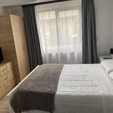 Casa Mocanitei 3* Vişeu de Sus