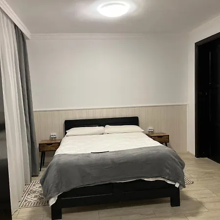 Πανσιόν Casa Mocanitei Vişeu de Sus