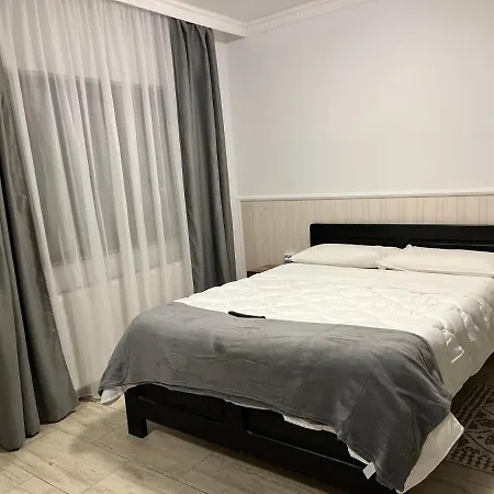 Casa Mocanitei 3*