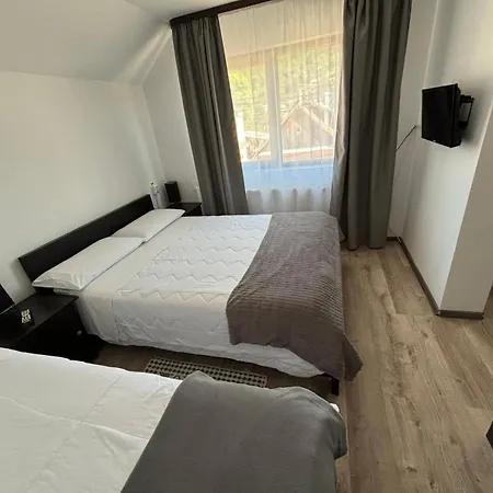 Casa Mocanitei Πανσιόν