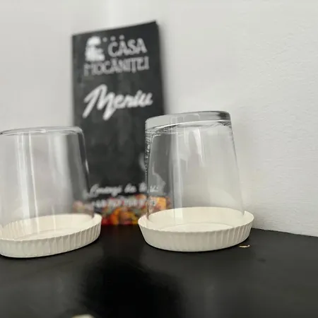 Πανσιόν Casa Mocanitei Vişeu de Sus