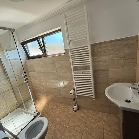 Casa Mocanitei Πανσιόν Vişeu de Sus