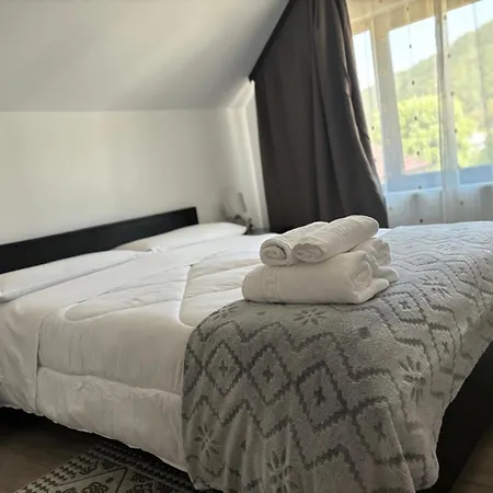Casa Mocanitei Vişeu de Sus