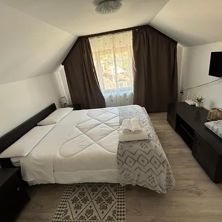 Casa Mocanitei 3* Vişeu de Sus