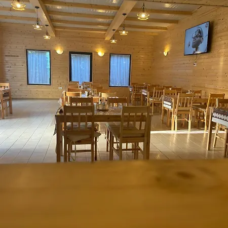 Πανσιόν Casa Mocanitei Vişeu de Sus